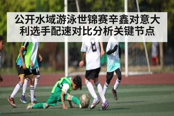 公开水域游泳世锦赛辛鑫对意大利选手配速对比分析关键节点 - com